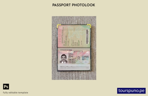 listo para imprimir plantilla de aspecto fotográfico del pasaporte de Guinea (pr